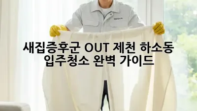 새집증후군 OUT! 제천 하소동 입주청소 완벽 가이드